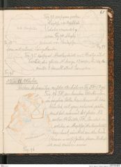 Seite 65, Tagebuch "Palästina (Tagebuch)" (NHMW-PRAE-BBB-80)